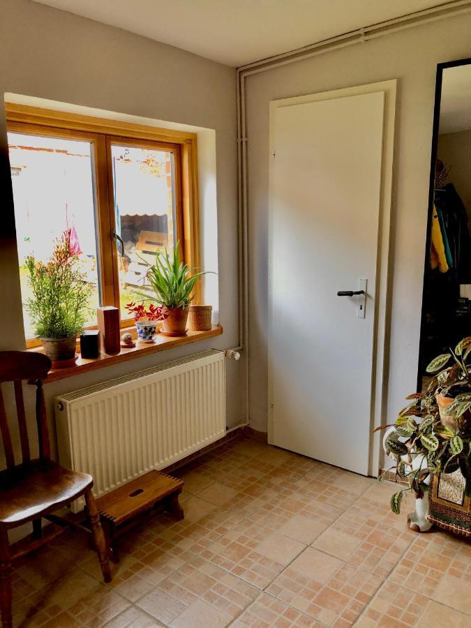 Gemuetliches Studio-Apartment In Ostseenaehe - Cosy Wulfi Probsteierhagen Екстер'єр фото