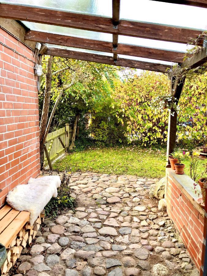 Gemuetliches Studio-Apartment In Ostseenaehe - Cosy Wulfi Probsteierhagen Екстер'єр фото